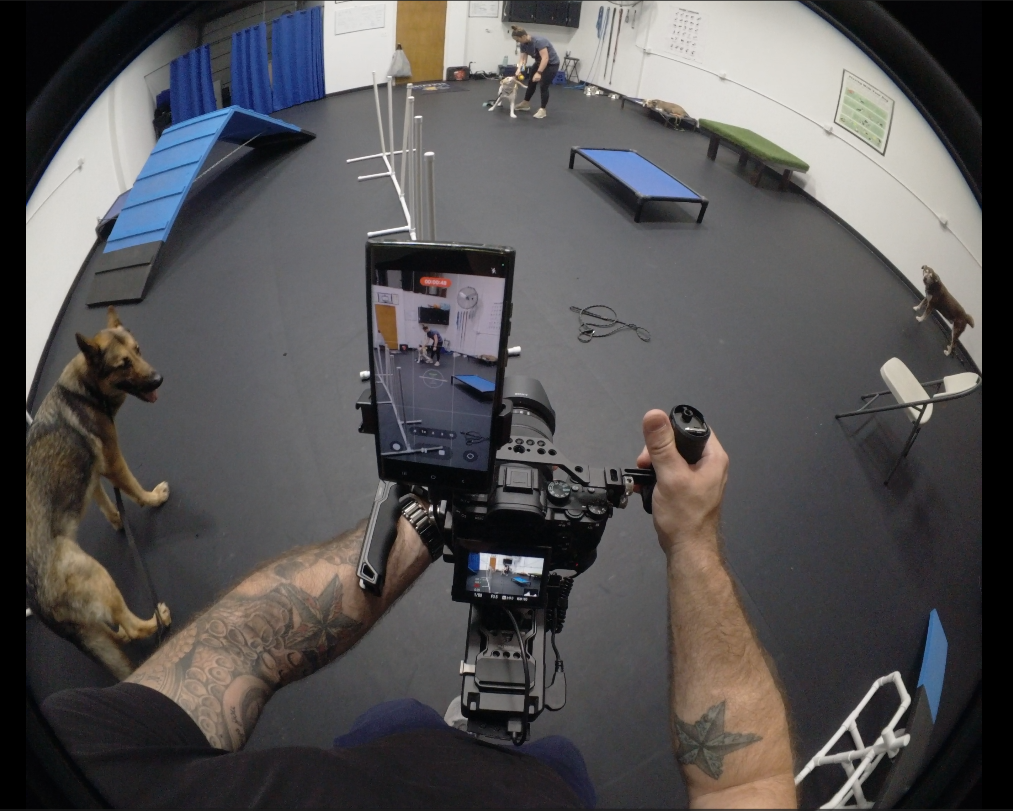 First-person view of a camera rig filming inside a dog training facility, with dogs and agility equipment around